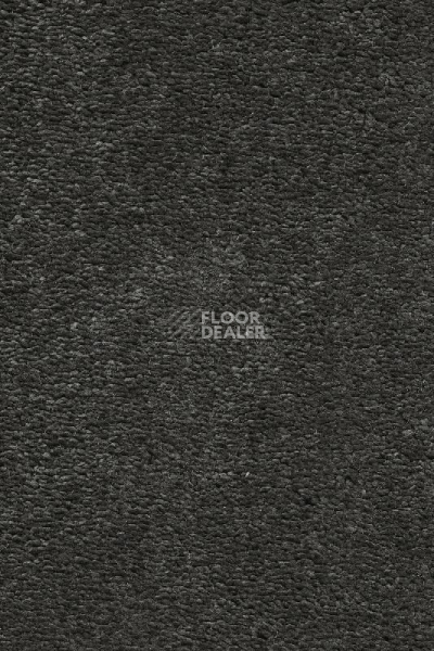 Ковролин AW Invictus Heroicus 98 фото 1 | FLOORDEALER